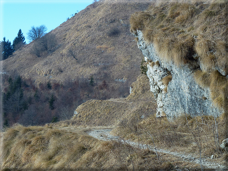 foto Salita dal Monte Tomba a Cima Grappa